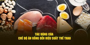 Tác Động Của Chế Độ Ăn Uống